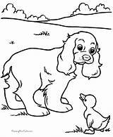 Coloring Printable Pages Kids Puppy Kid Color Print Sheets Dog Colouring Duck Paint Cocker Spaniel Clipart Printing Book Puppies Worksheets sketch template