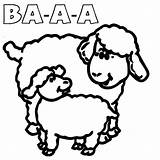 Sheep Coloring Sound Template sketch template