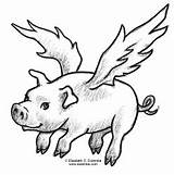 Pigs Carolyn Compositions sketch template