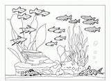 Akwarium Kolorowanki Dzieci Bestcoloringpagesforkids Acuario Fishes Coloringhome Pets sketch template