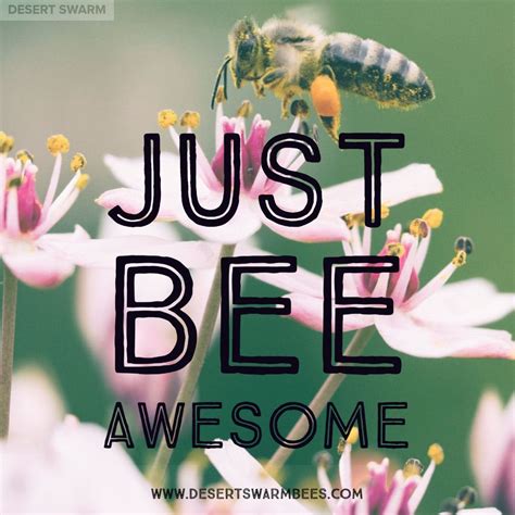 bee  bee awesome bee quotes bee removal honey bee llc