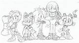 Sonic Coloring Pages Boom Hedgehog Print Friends Colouring Printable Quality High Library Clipart Coloringhome Popular sketch template