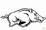 Razorback Coloring Boar Drawing Arkansas Wild Razorbacks Svg Outline Printable Pages Clipart Logo Clip Ar Stencil Cliparts Hog Pig Supercoloring sketch template