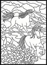 Coloring Pages Horse Dover Publications Welcome Doverpublications Book Horses Noble Marty Choose Board Books Zentangle Color sketch template