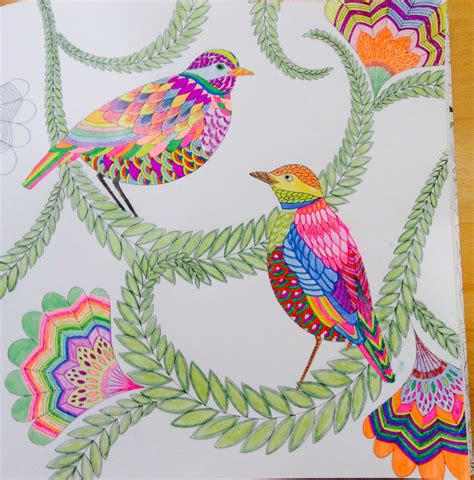 millie marottas tropical wonderland  colouring book adventure millie