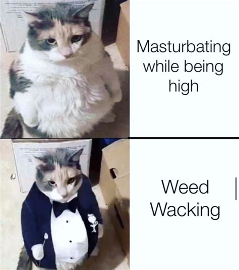 Masturbating While Being High Weed Wacking Funny