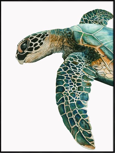 great sea turtle ii picture source