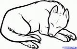 Dog Sleeping Draw Drawing Cartoon Step Dragoart Drawings Easy Cute Realistic Animals Kids Outline Simple Animal Sketches Pencil Getdrawings Cat sketch template