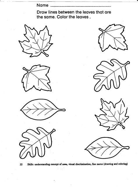 autumn leaf matching kindergarten worksheets preschool patterns