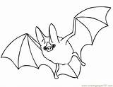 Bats Coloring Pages Printable Mammals Color sketch template