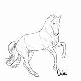 Lineart Gaited sketch template