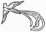 Quetzal Bird Drawing Coloring Pages Birds Simple Resplendent El Tattoo Guatemala Pyrography Other Rendition Columbian Pre Civilizations Volando Patterns Un sketch template