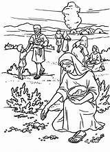 Coloring Manna Moses Quail Isaac Exodus Wilderness Rebeca Israelites Mana Moises Recogiendo Maná Ex Oude Kleurplaten Testament Pueblos sketch template