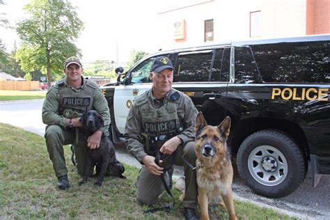 police canine unit nose    teamwork barrie news