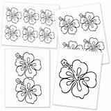 Flower Template Hibiscus Hawaiian Printable Flowers Templates Luau Lei Icing Royal Hawaii Party Drawing Clipart Printables Cliparts Theme Crafts Paper sketch template