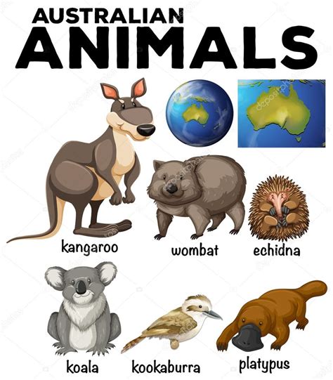 australian wild animals  australia map stock vector  blueringmedia