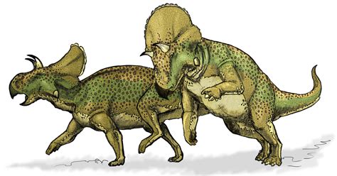 fileavaceratops dinosaurpng wikipedia
