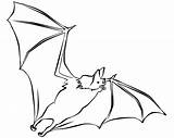 Bat Coloring Pages Cartoon sketch template