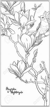 Coloring Branch Nightingale Flowering Flowers sketch template