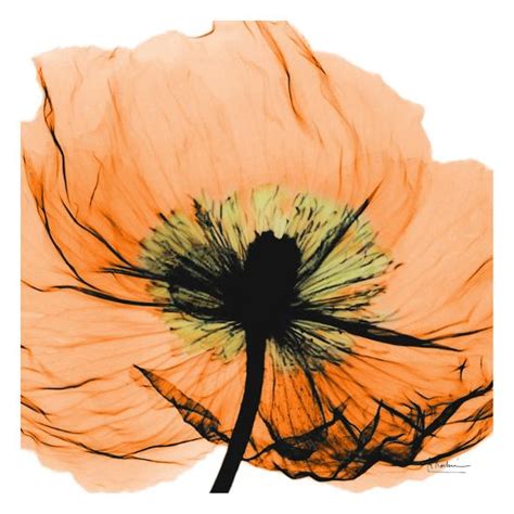 Poppy Orange Art Print Albert Koetsier
