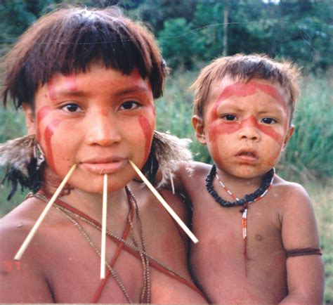 south american tribes  verge  extinction due  contact   world