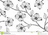 Dogwood Muster Line Texture Pumashoeme sketch template
