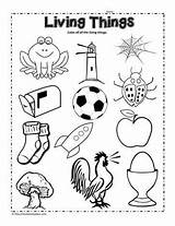 Living Things Clipart Circle Worksheets Worksheet Coloring Science Kindergarten Grade Nonliving Preschool Pages Printable Kids Activities Sheet Worksheetplace 1st Elements sketch template