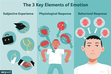 emotions  types  emotional responses