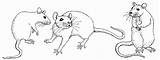 Rat Coloring Pages Mole Printable Rats Getcolorings Lab Coloringbay sketch template