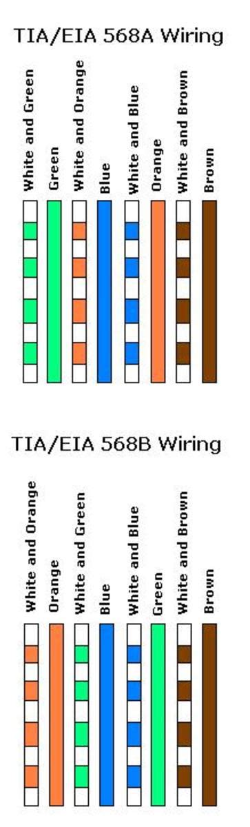 cat   cabling standard  cable type hubpages