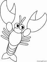 Crawfish Coloringall Outline Kids sketch template