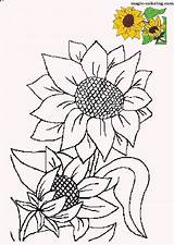 Sunflower Coloring Pages Sunflowers Flower Magic Patterns Flowers Painting Drawing Plants Adults Printables Pattern Embroidery Colouring Choose Board sketch template