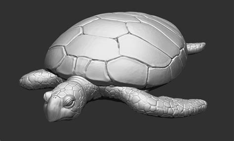 turtle sea  model turbosquid