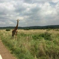 nairobi national park  tips