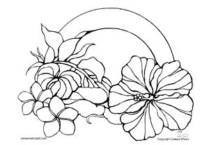 clever pics rainbow  flowers coloring pages  printable