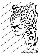 Coloring Leopards Iheartcraftythings sketch template