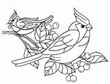 Pajaros Dibujos Aves Pajaro Passarinhos Pajaritos Passaros Cacatuas sketch template