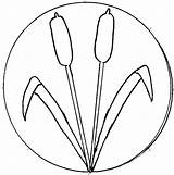 Cattail Dogwood Getdrawings sketch template