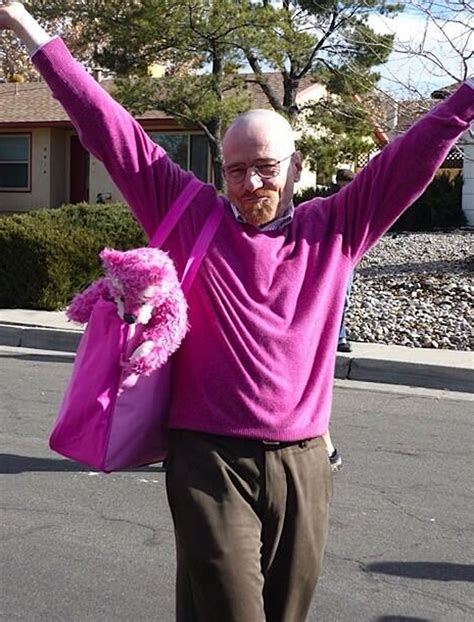 Breaking Bad Walter White Really A Pink Man The Independent