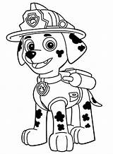 Patrol Paw Pages Coloring Puppy Marshal Print sketch template