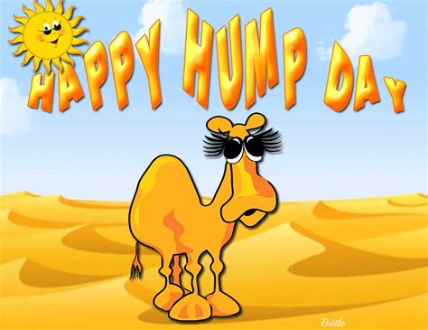Happy Hump Day Quote With Camel Pictures Photos And