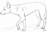Dingo Coloring Pages Drawing Printable Getdrawings sketch template