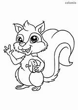 Squirrel Eekhoorn Eikel Kleurplaten Squirrels Topkleurplaat sketch template