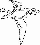 Flying Seagull Seagulls Coloring Pages Cartoon Template Getdrawings Drawing sketch template