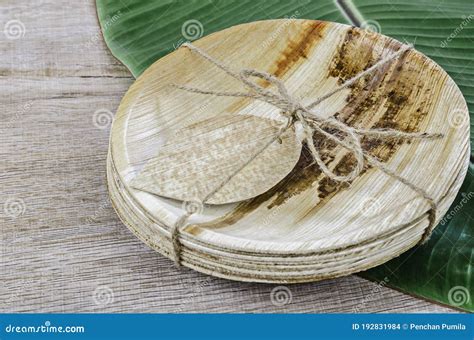 plates   dried betel nut leaf palm natural material stock