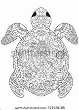 Turtle Zentangle Lace Viktoriia Panchenko Owl sketch template