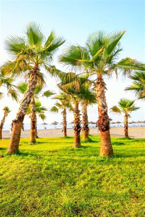 exotic beach southern spain stock photo image  green panorama