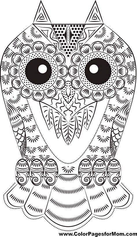 owl coloring page  coloring prints  adults pinterest