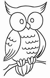 Owl Coloring Pages Tawny Print sketch template