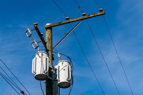 protect electrical transformer utility poles  pests